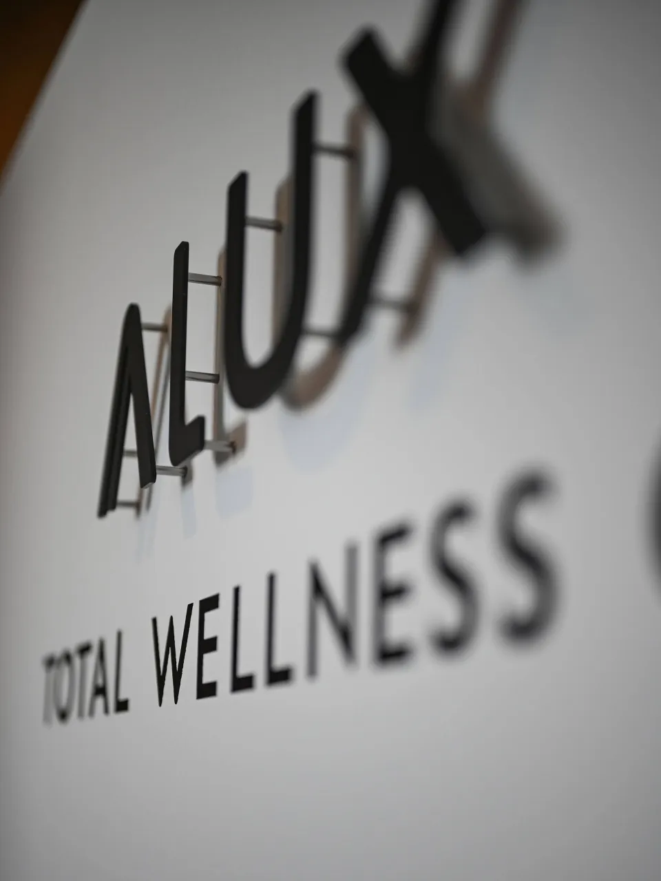 ALUX のロゴデザイン